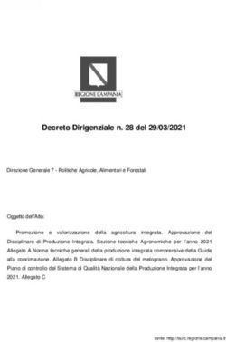 Decreto Dirigenziale n. 28 del 29/03/2021 - regione campania ...