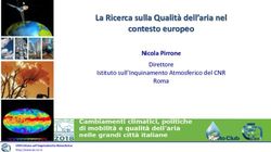 La Ricerca sulla Qualit&agrave; dell'aria nel contesto europeo - Nicola Pirrone Direttore - Kyoto ...