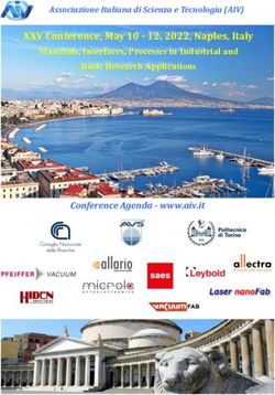 XXV Conference, May 10 - 12, 2022, Naples, Italy - Materials, Interfaces, Processes in Industrial and Basic Research Applications - AIV