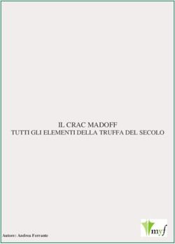 IL CRAC MADOFF TUTTI GLI ELEMENTI DELLA TRUFFA DEL SECOLO - Autore: Andrea Ferrante