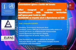 Osservatorio Nazionale Alcol - WHO CC ITA-79 - Istituto Superiore di Sanit&agrave; - Senato