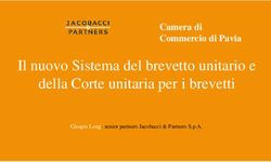 Il nuovo Sistema del brevetto unitario e della Corte unitaria per i brevetti - Camera di Commercio di Pavia - Camera di ...