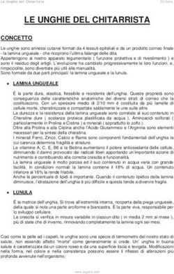 LE UNGHIE DEL CHITARRISTA