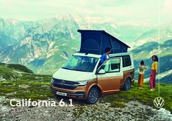 California 6.1 - Mezzi Commerciali