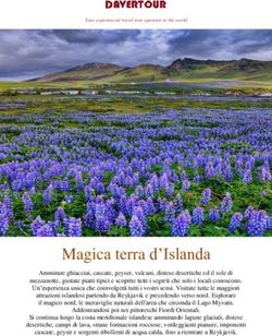 Magica terra d'Islanda - Davertour