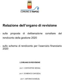 Relazione dell'organo di revisione - Comune di Napoli