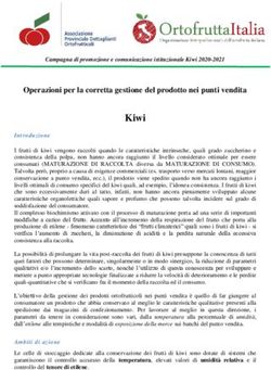 Kiwi Operazioni per la corretta gestione del prodotto nei punti vendita