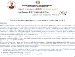 PRESENTAZIONE PIANO ANNUALE dell'OFFERTA FORMATIVA 2019-2020 - Liceo Giulio Cesare