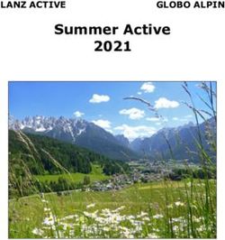 Summer Active 2021 LANZ ACTIVE