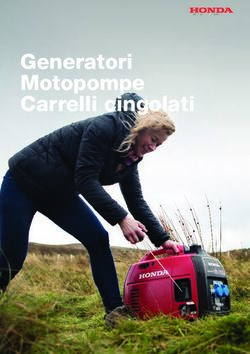 Generatori Motopompe Carrelli cingolati - Honda