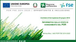 AVANZAMENTO DEL POR INFORMATIVA SULLO STATO DI - Comitato di Sorveglianza 04 giugno 2019 - Fondo Sociale Europeo