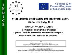 Svilluppare le competenze per i datori di lavoro Gij&oacute;n- 4th July, 2017