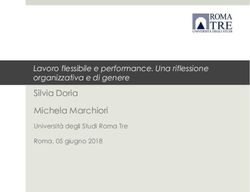 Lavoro flessibile e performance. Una riflessione organizzativa e di genere Silvia Doria - Michela Marchiori - Fisac CGIL Banca d'Italia