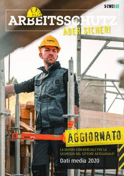 AGGIORNATO Dati media 2020 - LA RIVISTA COMMERCIALE PER LA SICUREZZA NEL SETTORE ARTIGIANALE! - SZwei Verlag