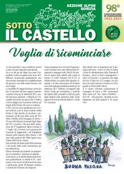 IL CASTELLO - Ana Gorizia