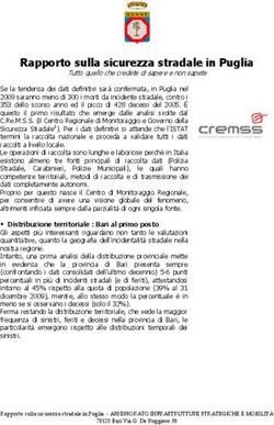 Rapporto sulla sicurezza stradale in Puglia