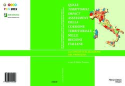 QUALE TERRITORIAL IMPACT ASSESSMENT - Università ...