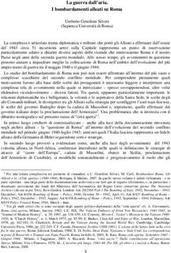 La guerra dall'aria. I bombardamenti alleati su Roma