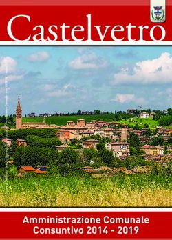 Castelvetro - Amministrazione Comunale Consuntivo 2014 2019 - Comune di ...