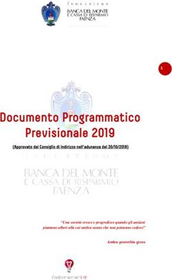 Documento Programmatico Previsionale 2019 1
