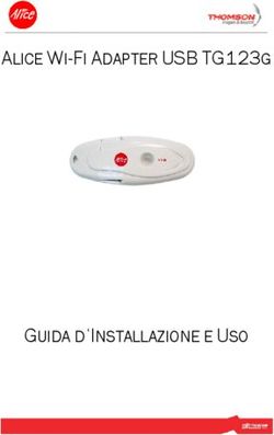 ALICE WI-FI ADAPTER USB TG123G - GUIDA D' INSTALLAZIONE E USO