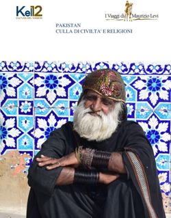 PAKISTAN CULLA DI CIVILTA' E RELIGIONI