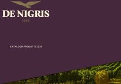 CATALOGO PRODOTTI 2021 - De Nigris