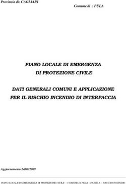 PIANO LOCALE DI EMERGENZA DI PROTEZIONE CIVILE DATI GENERALI COMUNI E APPLICAZIONE PER IL RISCHIO INCENDIO DI INTERFACCIA
