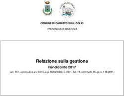 Relazione sulla gestione - Rendiconto 2017