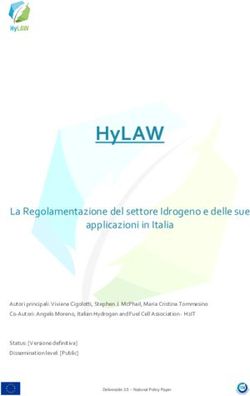 HYLAW LA REGOLAMENTAZIONE DEL SETTORE IDROGENO E DELLE SUE APPLICAZIONI IN ITALIA