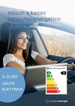 Veicoli a basso consumo energetico - Tendenze di mercato 2021 - IL CLOU: E-Mobile.ch