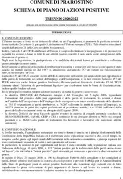 COMUNE DI PRAROSTINO SCHEMA DI PIANO DI AZIONI POSITIVE