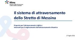 Il sistema di attraversamento dello Stretto di Messina - Proposte per l'attraversamento stabile e interventi per il miglioramento ...