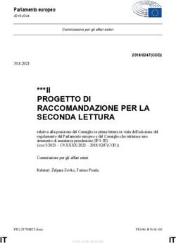 II PROGETTO DI RACCOMANDAZIONE PER LA SECONDA LETTURA