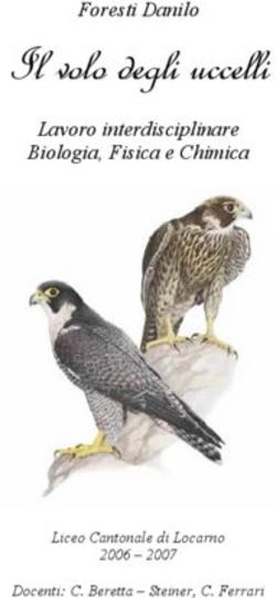 Il volo degli uccelli - Foresti Danilo Lavoro interdisciplinare Biologia, Fisica e Chimica