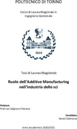 POLITECNICO DI TORINO - Ruolo dell'Additive Manufacturing nell'industria dello sci