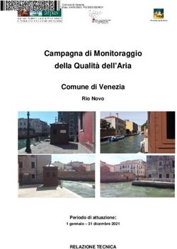 Campagna di Monitoraggio della Qualit&agrave; dell'Aria Comune di Venezia - Rio Novo