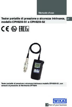 Tester portatile di pressione a sicurezza intrinseca, modello CPH62I0-S1 e CPH62I0-S2 - Tester portatile di pressione a sicurezza intrinseca ...