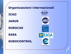 Organizzazioni internazionali - ICAO JARUS EUROCAE EASA EUROCONTROL - Enac
