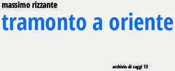 Tramonto a oriente massimo rizzante - archivio di saggi 13