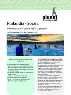 Finlandia - Svezia Capodanno nel cuore della Lapponia - Planet Viaggi