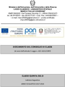 DOCUMENTO DEL CONSIGLIO DI CLASSE - MT ...