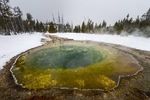 Le magie dell'inverno Yellowstone 2020 - dal 3 al 13 febbraio 2020 - Xplore America