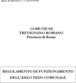 COMUNE DI TREVIGNANO ROMANO - REGOLAMENTO DI FUNZIONAMENTO DELL'ASILO NIDO COMUNALE - Provincia di Roma
