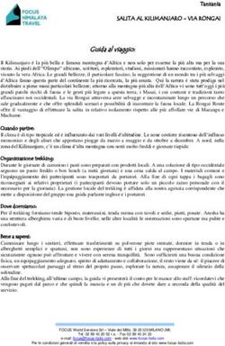 Guida al viaggio: VIA RONGAI