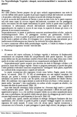 La Neurobiologia Vegetale: sinapsi, neurotrasmettitori e memoria nelle piante