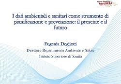 I dati ambientali e sanitari come strumento di pianificazione e prevenzione: il presente e il futuro - Eugenia Dogliotti - SNPA Ambiente