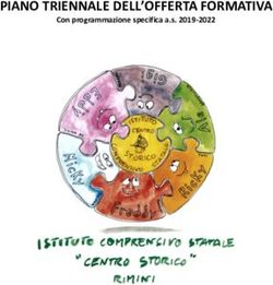 PIANO TRIENNALE DELL'OFFERTA FORMATIVA - Con programmazione specifica a.s. 2019-2022 - Istituto ...