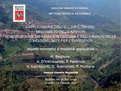 L'APPLICAZIONE DELL' O.C.D.P.C. 780/2021 NELL'AMBITO DELLE ATTIVITA' DI MICROZONAZIONE SISMICA IN TOSCANA E DELLE ANALISI DELLE CONDIZIONI LIMITE ...