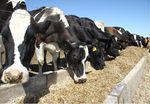 PIANO REGIONALE INTEGRATO DELLA SICUREZZA ALIMENTARE E NUTRIZIONALE - ANNO 2018 - (PNI-MANCP 2015-2018; PNP 2014-2018) - Regione FVG